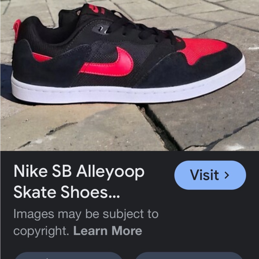 Nike SB Alleyoops Black with Red Accents